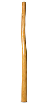 Gloss Finish Didgeridoo (TW1314)